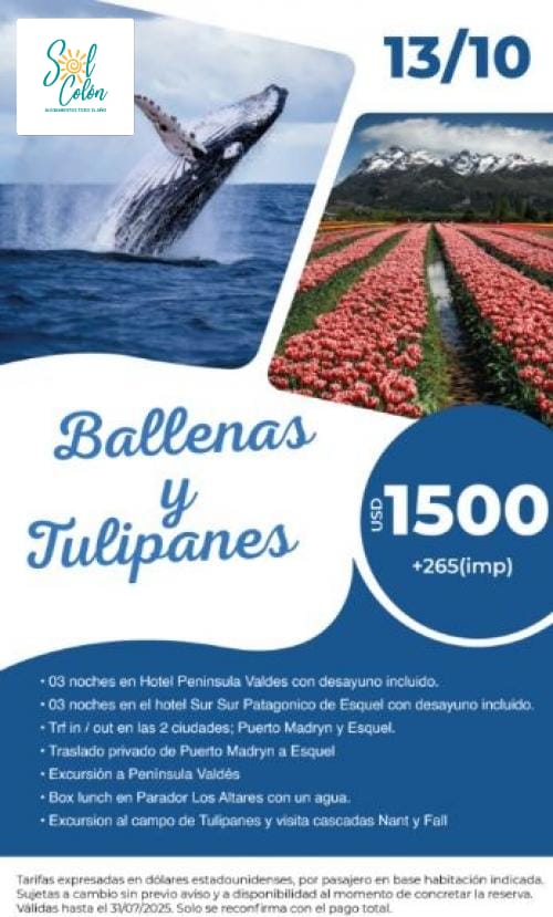 Ballenas y Tulipanes – 13 de Octubre